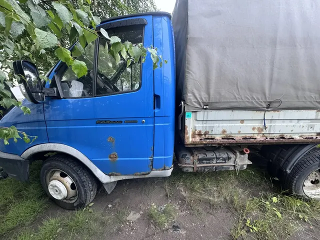 Транспортное средство ГАЗ 3302, 2012 года выпуска, цвет - синий, VIN X96330200C2517703, государственный номер K645KH29. Cостояние ТС: в рабочем состоянии, аккумулятор разряжен, следы ржавчины и коррозия по всему кузову, кузов обтянут тентом, тент порван в задней части.