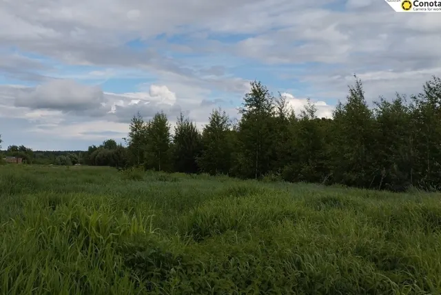 Аукцион в отношении земельного участка с КН 50:30:0040104:1141
