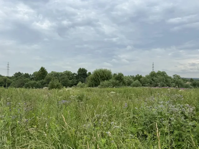 Аукцион в отношении земельного участка с КН 50:07:0080203:650