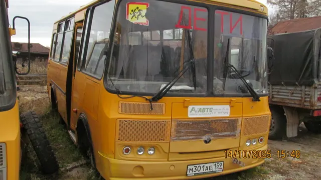 Транспортное средство ПАЗ-32053-70, автобус для перевозки детей, VIN Х1М3205ВХН0002046, 2017 года выпуска, модель № двигателя 523420 Н1002474, шасси (рама) № отсутствует, кузов (кабина, прицеп) № Х1М3205ВХН0002046, цвет желтый. Паспорт транспортного средства 52ОС330250, выдан 14.08.2017 ООО «Павловский автобусный завод», Россия, Нижегородская область, г. Павлов, ул. Суворова, д. 1.  Государственный регистрационный номер М301АЕ159