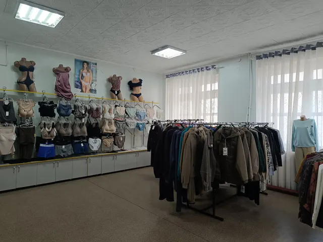 Встроенное нежилое помещение, площадью 48,4  кв.м., расположенное по адресу: 294540, Российская Федерация, Луганская Народная Республика, городской округ город Красный Луч, город Петровское, улица Ленина, дом 14А,  кадастровый номер: 95:24:0401017:177