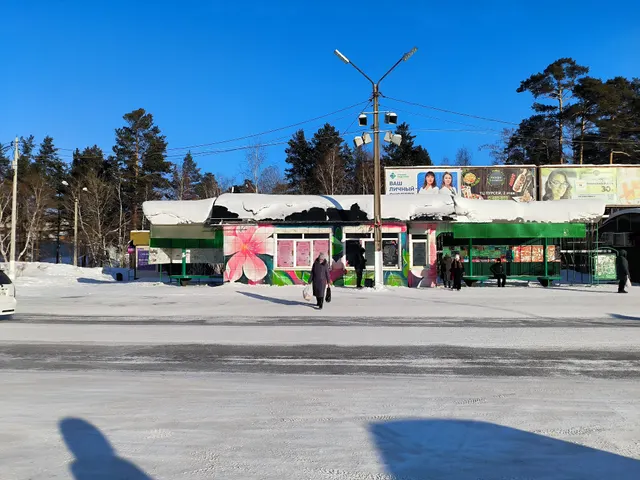 Павильон с остановочным пунктом (жилой район Энергетик, напротив ДК «Энергетик») с обязательным условием проведения реконструкции согласно техническому заданию*, общей площадью 27,9 кв. м., местоположение: Иркутская область, городской округ город Братск, город Братск, жилой район Энергетик, напротив Дворца искусств города Братска, ул. Наймушина 26.