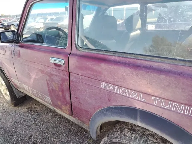 Автомобиль ВАЗ 21213, гн С868КН96, 2001 г.в. Темно-бордовый. ТС имеет ограничения ФССП на регистрационные действия (ключи и документы отсутствуют, техническое состояние не проверялось, пробег не известен). Имущество продается в том виде, в каком оно есть, в случае продажи возврату/обмену не подлежит. За скрытые дефекты имущества Продавец ответственности не несет.