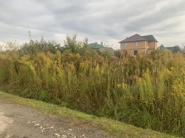 Аукцион в отношении земельного участка с КН 50:31:0050414:2859