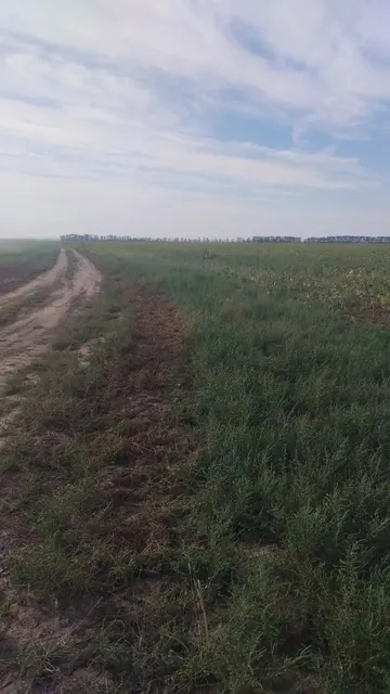 Земельный участок  с кадастровым номером 22:26:040204:475,  общей площадью 694020+/-7289кв.м Местоположение участка: Алтайский край, Локтевский район, МО Самарский сельсовет.