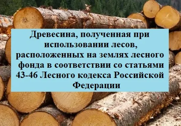 Итого по лоту – 107 куб. м. древесины.