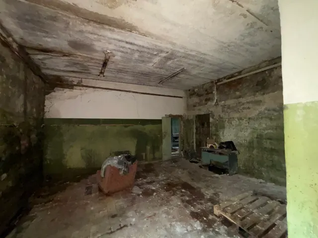 Помещение с кадастровым номером 58:24:0020205:3109