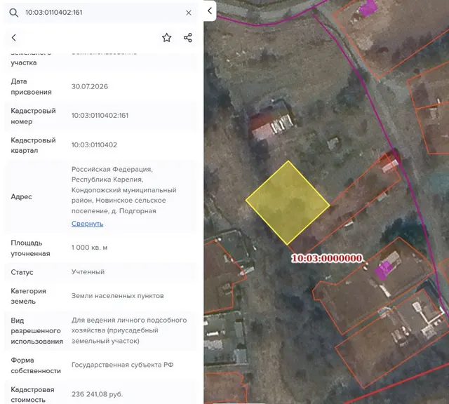 Лот №2. Право заключения договора аренды земельного участка из земель населенных пунктов, имеющего кадастровый номер 10:03:0110402:161