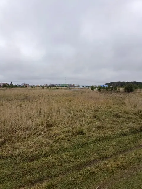 Земельный участок с кадастровым номером 33:06:062601:218