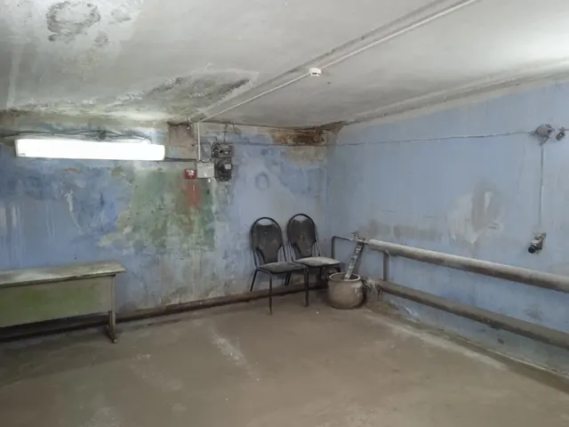 Нежилое помещение (гаражный бокс) площадью 19,9 кв.м, кадастровый номер 29:23:000000:5841 (реестровый номер федерального имущества П13310000336).