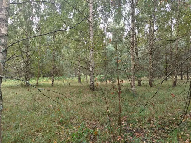 Предметом аукциона в электронной форме является право на заключение договора аренды земельного участка с кадастровым номером 52:07:0600032:521, площадью 1504+/-27 кв.м., местоположением: Российская Федерация, Нижегородская обл., р-н Сокольский, с/с Волжский, д. Рошвенская, ул. Центральная, д.2, вид разрешенного использования – для индивидуального жилищного строительства