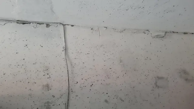 Нежилое помещение (гараж) площадью 19.2 кв.м., с кадастровым номером 89:13:010110:91, РФИ П13720003808 расположенного по адресу: Ямало-Ненецкий автономный округ, г Муравленко, ул Дружбы Народов, микрорайон 8-а, гаражный комплекс 2, корпус 2, Бокс № 19