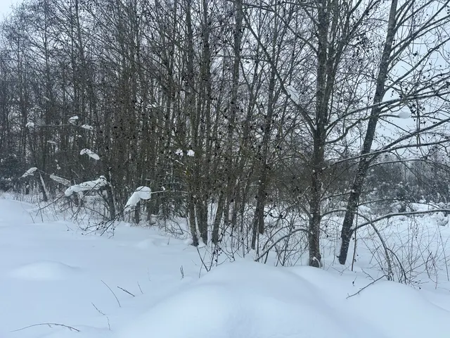 Аукцион в отношении земельного участка с КН 50:19:0040222:758