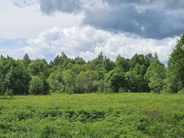 Аукцион в отношении земельного участка с КН 50:08:0090233:772
