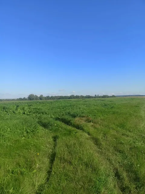 Земельный участок с кадастровым номером 16:05:071601:261