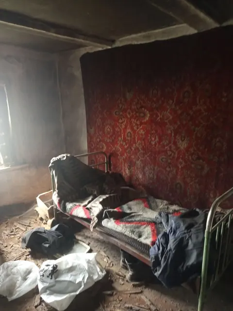 Квартира. земельный участок