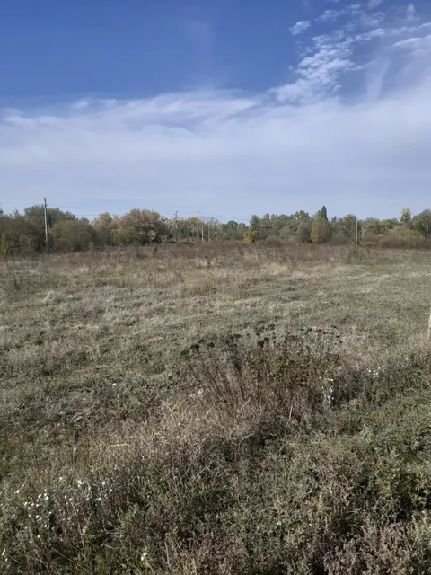 Право заключения договора аренды земельного участка