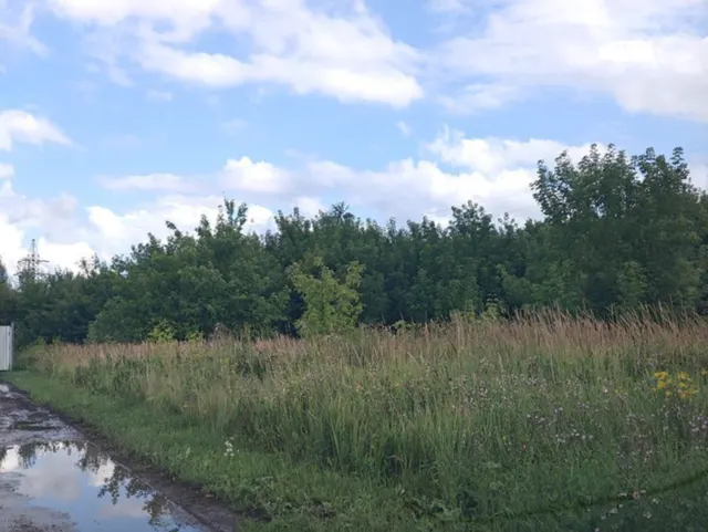 Земельный участок с кадастровым номером 68:20:3656001:167