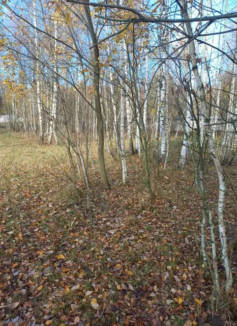 Аукцион в отношении земельного участка с КН 50:16:0704011:641