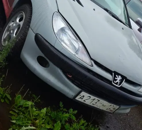 Автомобиль PEUGEOT 206, г/н А213ОМ124, 2000 г.в., VIN VF32AKFXP41247892, цвет оранжевый, комплектность и состояние  не проверялась данное  имущество обращено в доход государства, (Документы отсутствуют)Находится в Нижнеингашском районе
