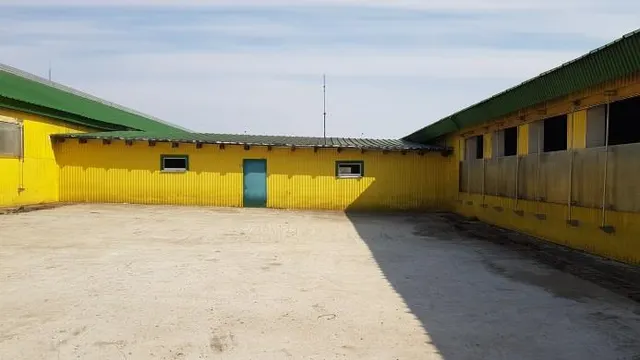 Одноэтажный производственный комплекс (здание телятника для бычков, здание телятника для нетелей, здание коровника, здание родильного отделения и доильного зала с административно-бытовым блоком, здание коровника, закрытая галерея, закрытая галерея, открытая галерея), площадью 21087,4 кв.м, год завершения строительства: 2009, с кадастровым номером 40:14:100608:63, адрес в соответствии с ФИАС: Калужская область,                            р-н Медынский, д. Романово.