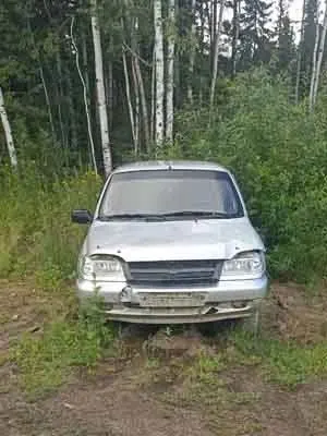 Автомобиль Шевроле-Нива, г/н Т494КМ124, 2004 г.в., VIN X9L21230040049095, двигатель № 0058642, цвет светло-серебристый металлик, комплектность и состояние  не проверялась данное  имущество обращено в доход государства, (Документы отсутствуют)Находится в Мотыгинском районе