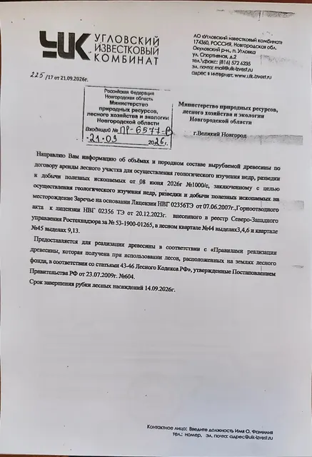 Древесина. Лот № 17
