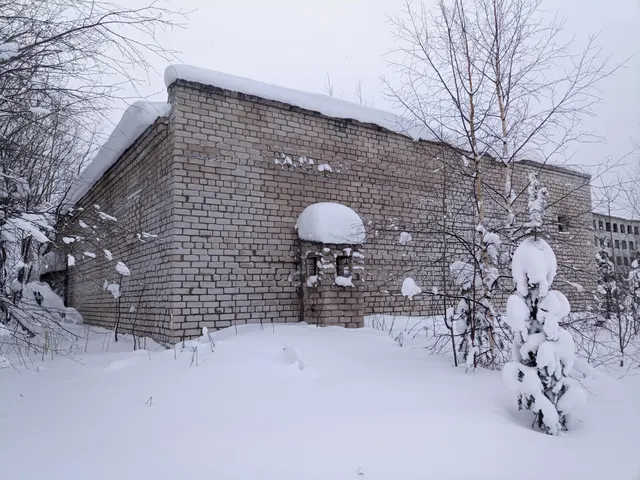 Здание склада ПС и ВС, назначение: нежилое, площадью 319,7 кв. м, этажность 1, в т. ч. подземных 0, кадастровый номер 11:12:0201001:2345, местоположение: Республика Коми, г. Печора, п. Березовка с земельным участком