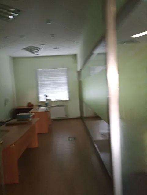 Нежилое помещение, площадью 249,9 кв.м., кадастровый номер: 74:35:1700062:263, реестровый номер: П13740000485, по адресу: Челябинская обл., р-н Троицкий, г. Троицк, ул. Путевая, д. 16А. Целевое назначение: нежилое.