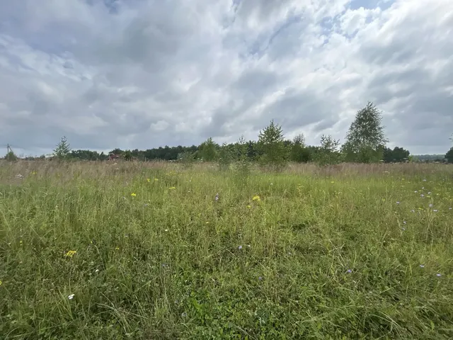 Аукцион в отношении земельного участка с КН 50:33:0020428:1381