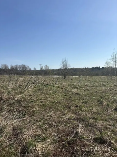 Аукцион в отношении земельного участка с КН 50:06:0050502:1528