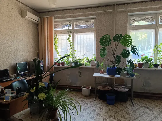 Встроенное нежилое помещение, площадью 32,5  кв.м., расположенное по адресу: 294540, Российская Федерация, Луганская Народная Республика, городской округ город Красный Луч, город Петровское, улица Ленина, дом 14А,  кадастровый номер: 95:24:0401017:177
