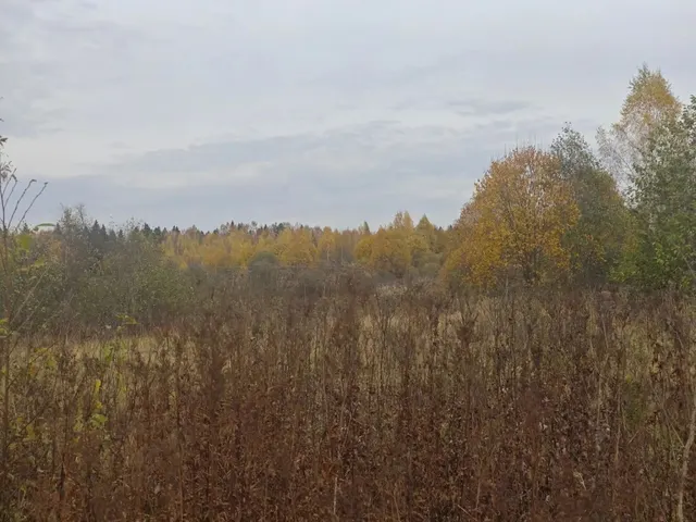 Аукцион в отношении земельного участка с КН 50:05:0040410:382
