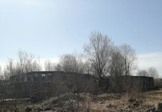 Здание скотного двора (оставшаяся часть разрушенного здания) площадь 1016,9 кв.м; земельный участок, площадь 1412 кв.м, расположенное по адресу:  Новгородская область, м.о. Новгородский, д. Григорово