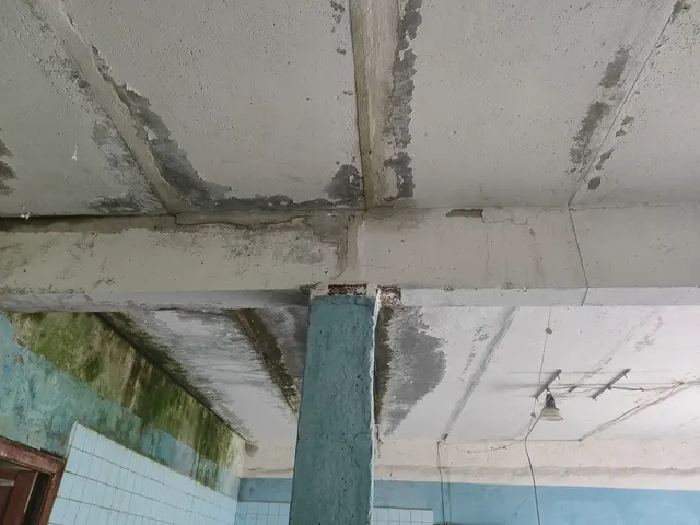 нежилое здание, 1 этажное, общей площадью 302,1 кв.м. расположенное по адресу: Ярославская область, Ростовский район, д.Лазарево, д.25 (кадастровый номер 76:13:031005:174) с земельным участком площадью 600 кв.м. (кадастровый номер: 76:13:031005:104)