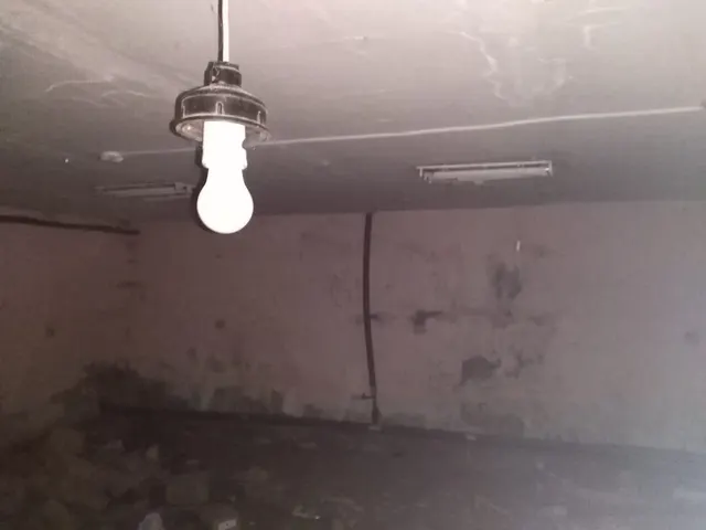 Нежилое помещение в многоквартирном доме с кадастровым номером 62:29:0070010:2556, назначение: нежилое, площадью 113,4 кв.м, подвал № 0, расположенное по адресу: Российская Федерация, Рязанская область, г.о. город Рязань, г. Рязань, ул. Гагарина, д. 87, помещение Н3, реестровый номер: 149191.