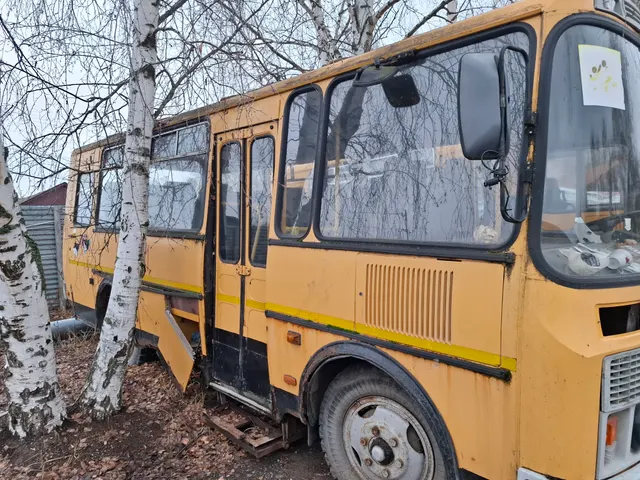 Автобус для перевозки детей морд