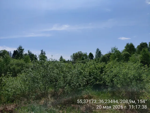 Аукцион в отношении земельного участка с КН 50:26:0031104:548