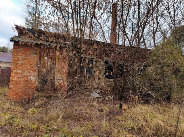 Годные (утилизационные) остатки здания мастерских, площадь 314,1 кв.м,  кадастровый номер 43:07:020101:1447, 1960 года постройки, назначение здания: нежилое, по адресу: Кировская область, Вятскополянский район, пгт Красная Поляна, ул. Сосновая, д. 24
