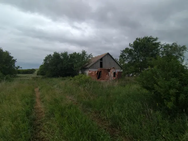 Школа, земельный участок