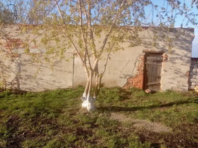 Здание котельной