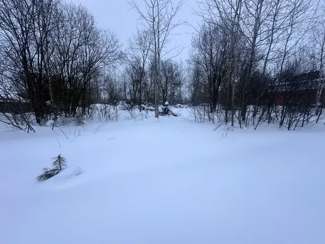 Аукцион в отношении земельного участка с КН 50:16:0401009:42