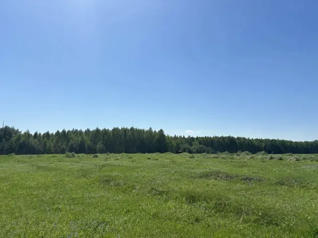 Аукцион в отношении земельного участка с КН 50:17:0000000:71350
