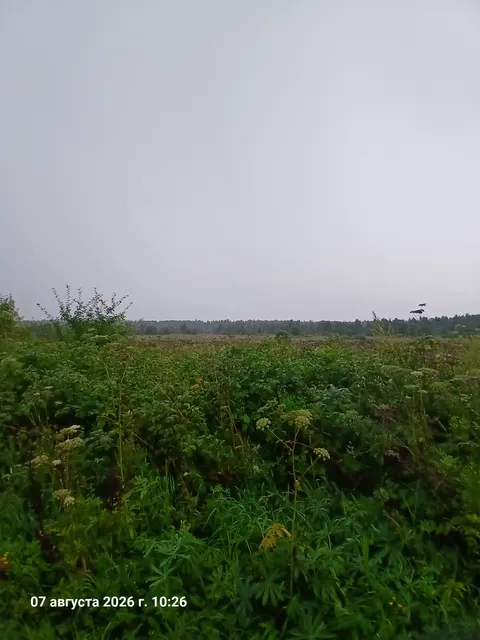 Аукцион в отношении земельного участка с КН 50:06:0110702:1586