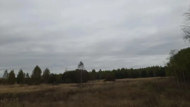 аукцион в электронной форме на право заключения договора аренды земельного участка с кадастровым номером 62:25:0080102:454, принадлежащего на праве собственности  муниципальному образованию – Тимошкинское сельское поселение Шиловского муниципального района Рязанской области, площадью 64 125 кв.м, из земель сельскохозяйственного назначения, с разрешенным использованием – для сельскохозяйственного производства, местоположение: Рязанская область, Шиловский район, вблизи п. Красная Ольховка
