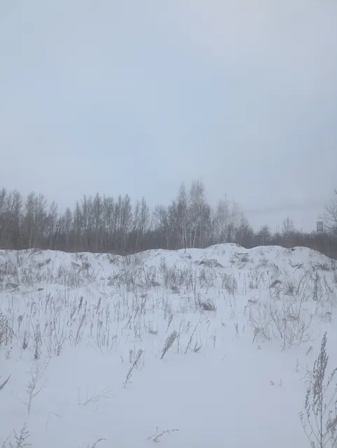 Земельный участок из состава земель населенных пунктов  с кадастровым номером 55:36:030117:1027