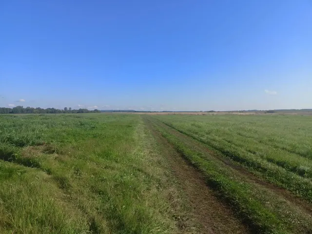 Земельный участок с кадастровым номером 16:05:071601:261