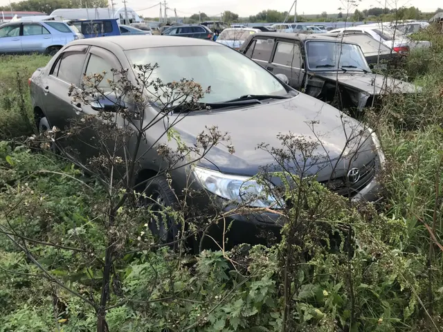 Реализация по прямому назначению: Автомобиль TOYOTA COROLLA, 2010 г.в, кузов № JTNBV56E60J094627, ГРЗ М939ТМ 154 (серого цвета, документы ,ключи отсутствуют).