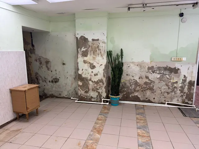 Нежилое помещение, площадью 56,8 кв.м., кадастровый номер 72:25:0104017:1001, расположенное по адресу: Тюменская область, г. Ишим, ул. Ленина, д. 60/1.