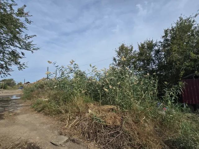Право заключения договора аренды земельного участка